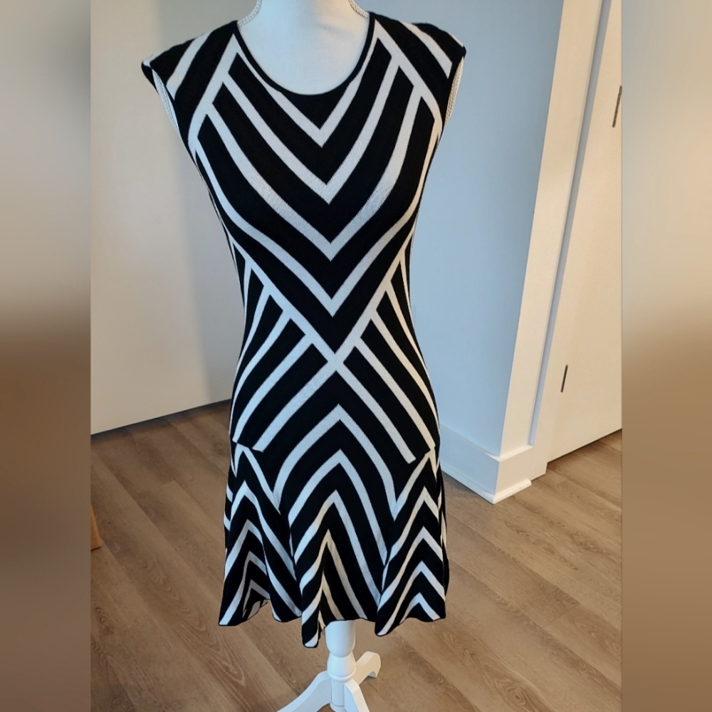 Banana Republic cap sleeve drop waist scoop neck sweater dress in black & white